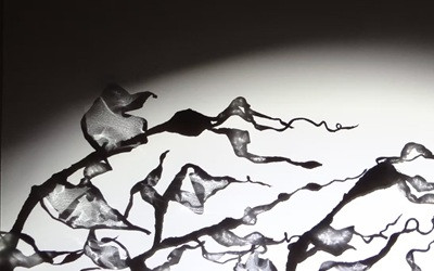 Ocean Kin: A Shadow Show, September 8, 2026 Marigold Cultural Centre, Truro, NS