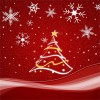 Christmas Serenade, A Night of Local Stars 